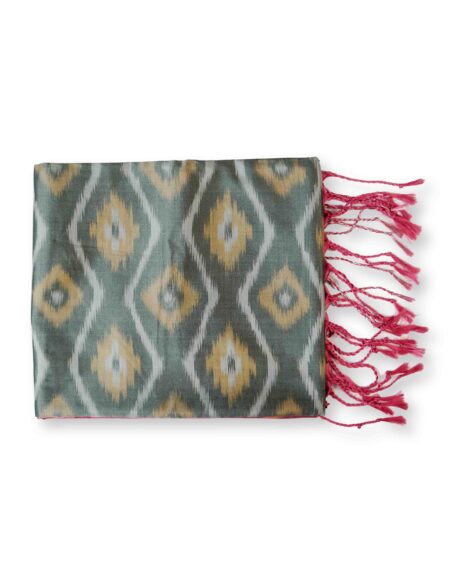 Pochampalli soft silk saree with contrast bp